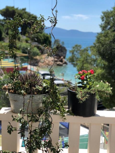Villa Bosac Gradac  Eksteriør bilde